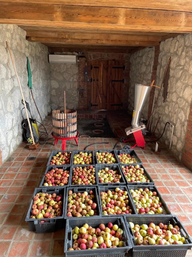 Sadmeli Winery Hotel Ambrolauri Ngoại thất bức ảnh