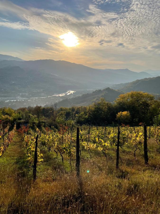 Sadmeli Winery Hotel Ambrolauri Ngoại thất bức ảnh