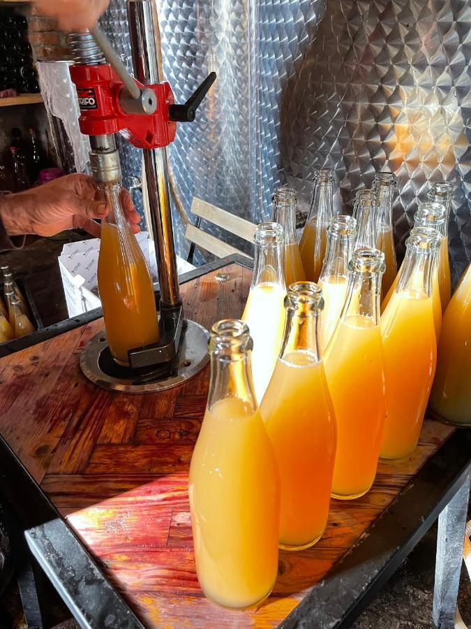 Sadmeli Winery Hotel Ambrolauri Ngoại thất bức ảnh