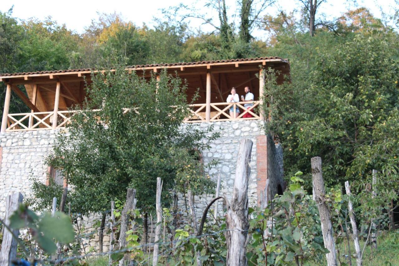 Sadmeli Winery Hotel Ambrolauri Ngoại thất bức ảnh