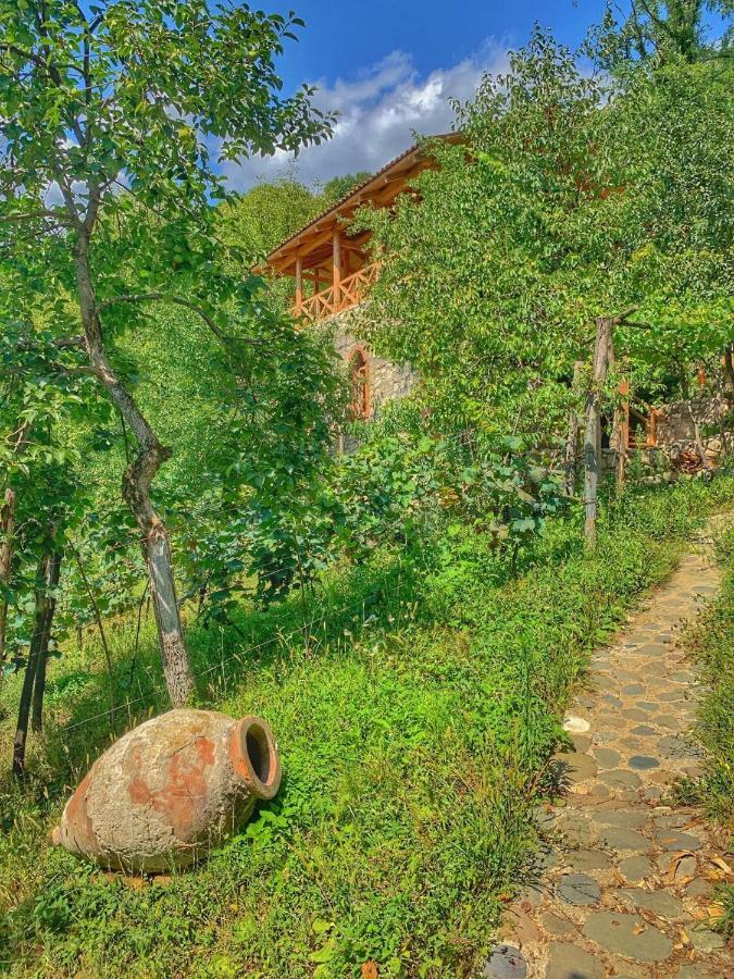 Sadmeli Winery Hotel Ambrolauri Ngoại thất bức ảnh